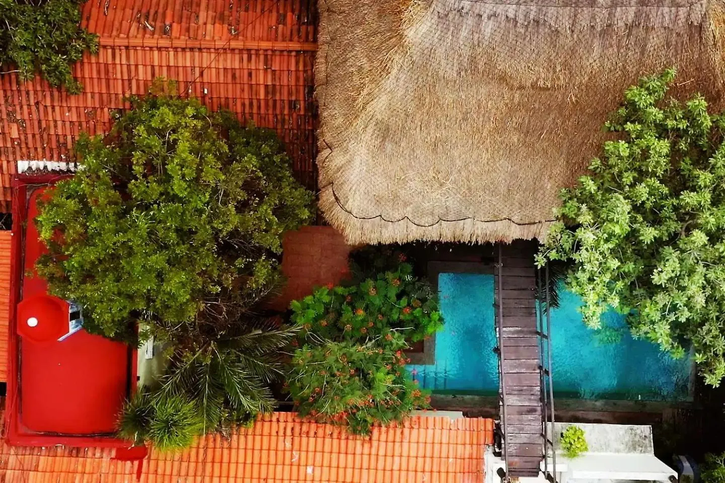 Villa Amable, Lujo Entre Selvas Y Lagunas Akumal